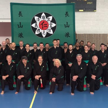Stage ceintures vertes et ceintures noires au Puy-en-Velay 26 & 27 septembre 2026